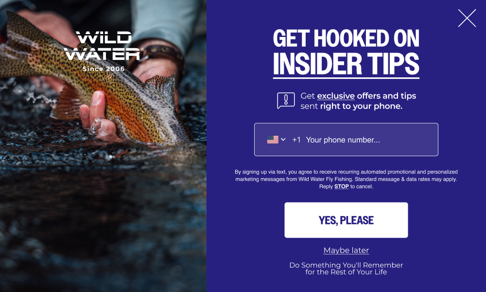 SMS Retargeting Popup - Mobile